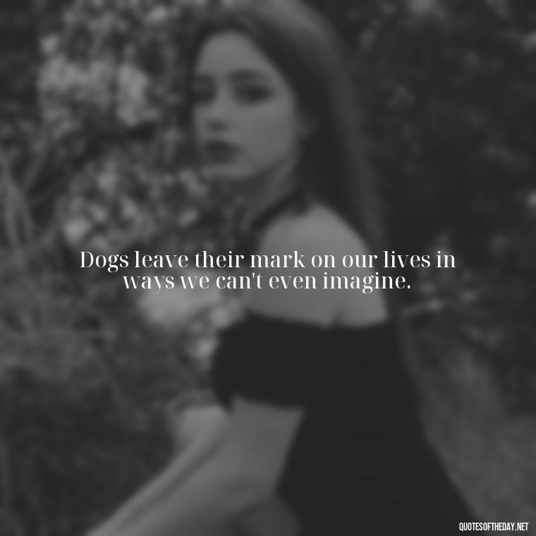 Dogs leave their mark on our lives in ways we can't even imagine. - Quotes About A Dogs Love