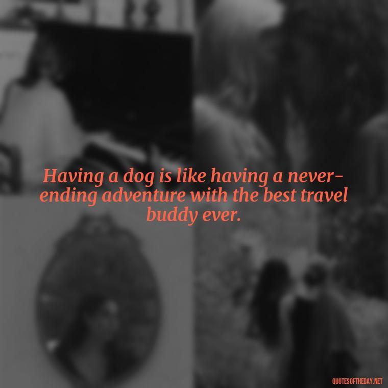 Having a dog is like having a never-ending adventure with the best travel buddy ever. - Love For My Dog Quotes