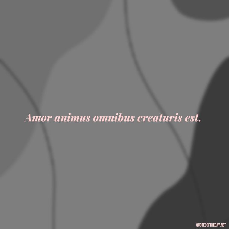 Amor animus omnibus creaturis est. - Love Quotes In Latin