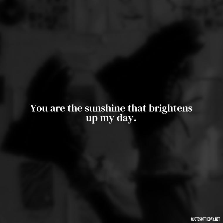 You are the sunshine that brightens up my day. - Love U Quotes For Her