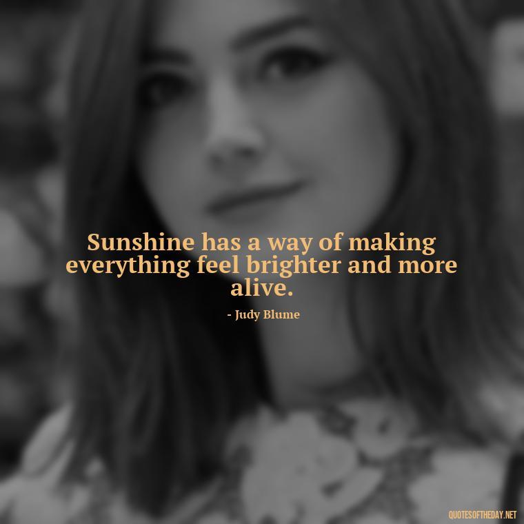 Sunshine has a way of making everything feel brighter and more alive. - Love The Sun Quotes