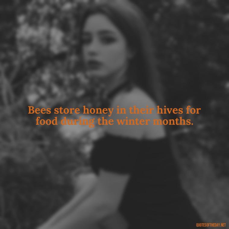 Bees store honey in their hives for food during the winter months. - Bee Quotes Short