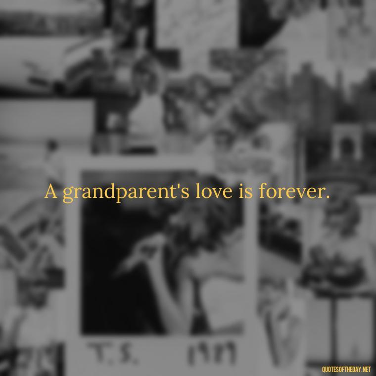 A grandparent's love is forever. - Quotes For Grandchildren Love