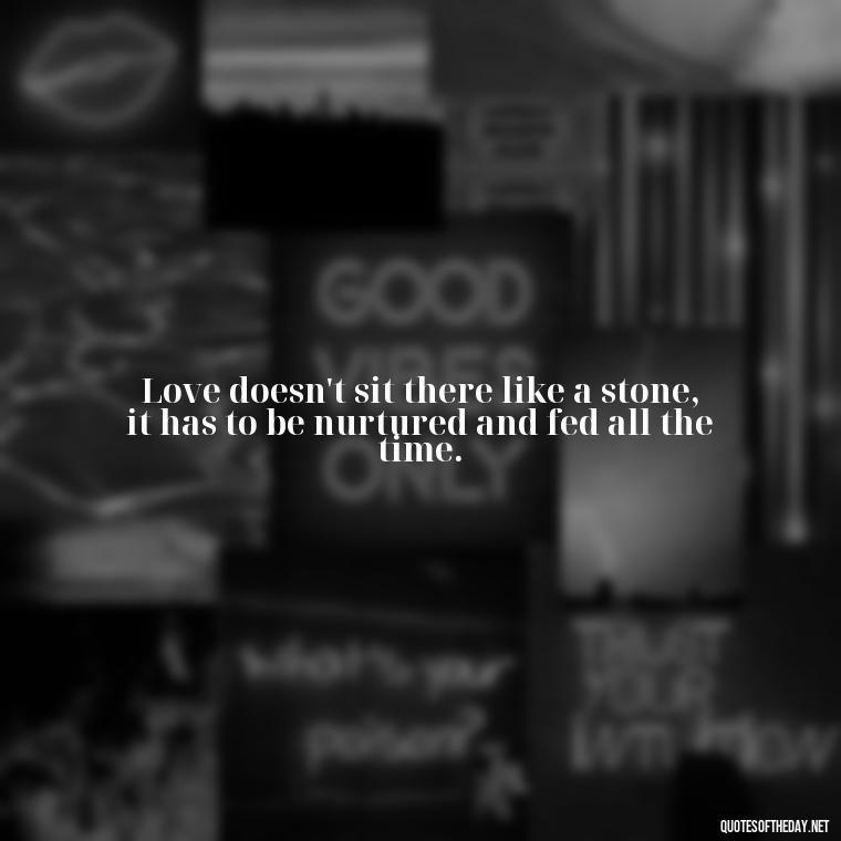 Love doesn't sit there like a stone, it has to be nurtured and fed all the time. - Fooling Quotes About Love