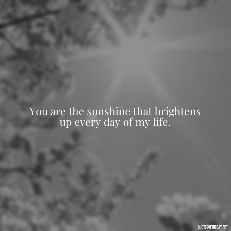 You are the sunshine that brightens up every day of my life. - I Love U Picture Quotes