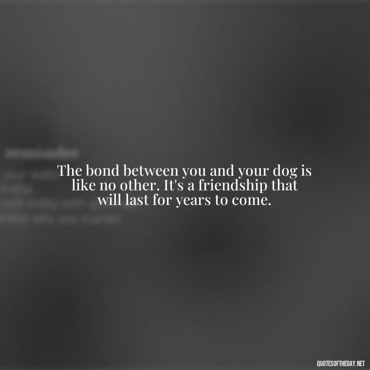 The bond between you and your dog is like no other. It's a friendship that will last for years to come. - Love Your Dog Quotes