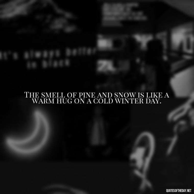 The smell of pine and snow is like a warm hug on a cold winter day. - Love The Snow Quotes