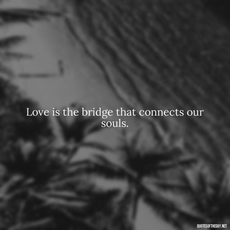 Love is the bridge that connects our souls. - Love Quotes In Latin