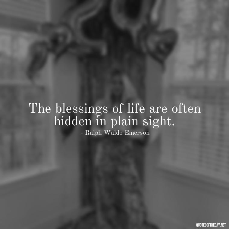 The blessings of life are often hidden in plain sight. - Short Blessings Quotes