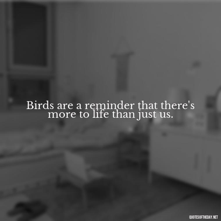 Birds are a reminder that there's more to life than just us. - Short Quotes On Birds