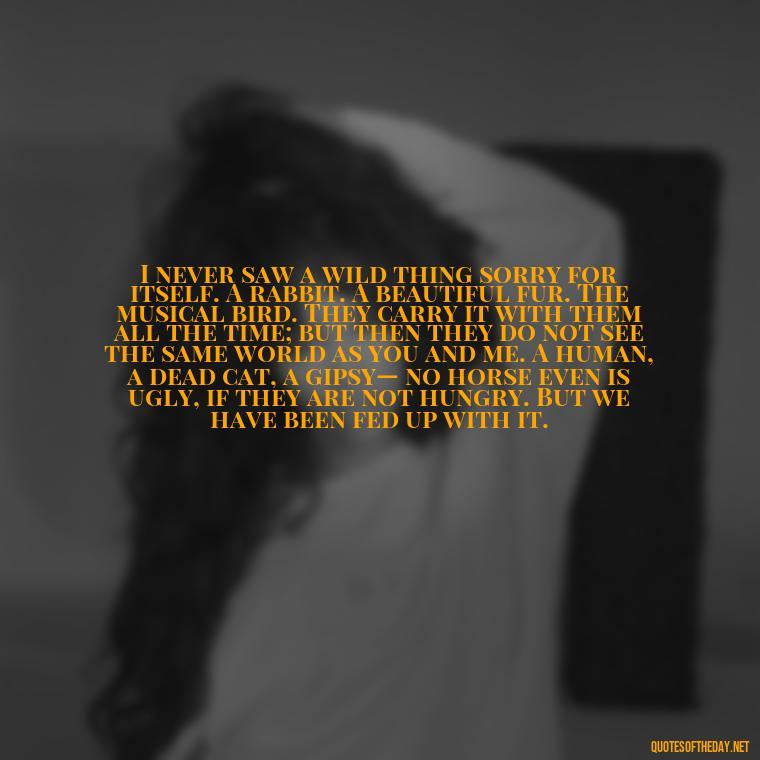 I never saw a wild thing sorry for itself. A rabbit. A beautiful fur. The musical bird. They carry it with them all the time; but then they do not see the same world as you and me. A human, a dead cat, a gipsy— no horse even is ugly, if they are not hungry. But we have been fed up with it. - Italian Quotes Short