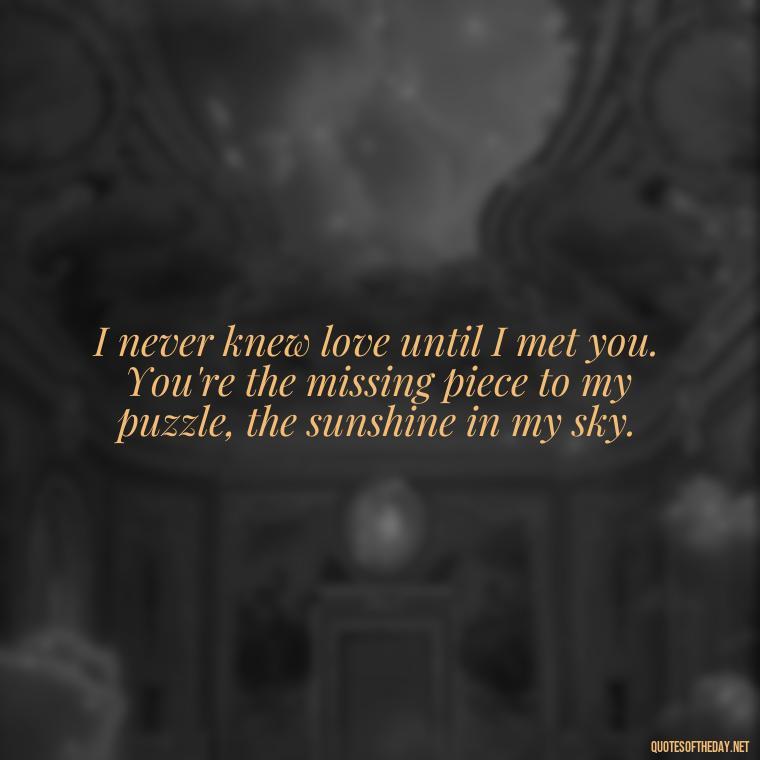 I never knew love until I met you. You're the missing piece to my puzzle, the sunshine in my sky. - Fell In Love With You Quotes