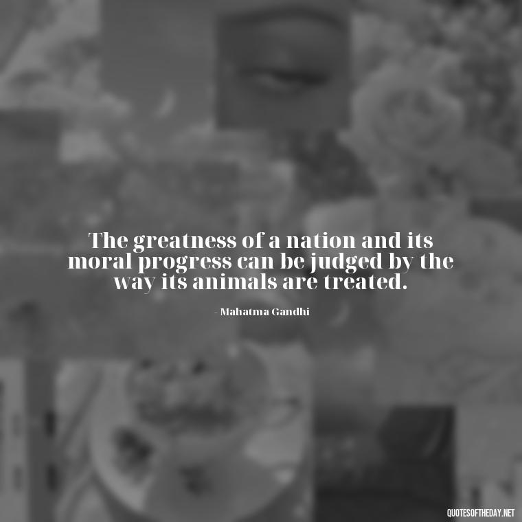 The greatness of a nation and its moral progress can be judged by the way its animals are treated. - Quotes Gandhi Love