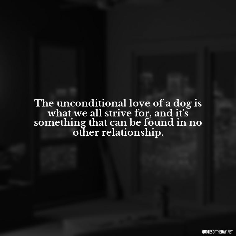 The unconditional love of a dog is what we all strive for, and it's something that can be found in no other relationship. - Quotes About A Dogs Love