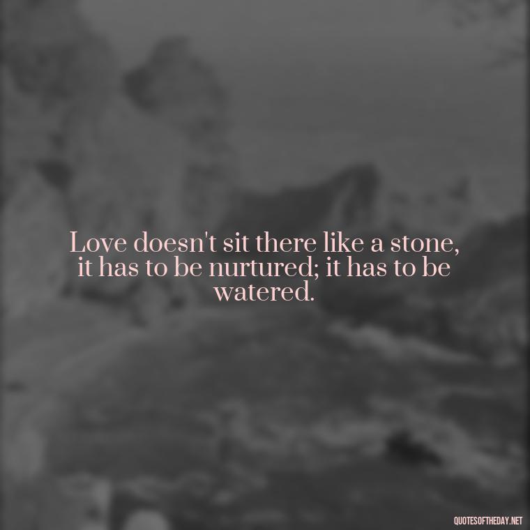 Love doesn't sit there like a stone, it has to be nurtured; it has to be watered. - Fight For True Love Quotes