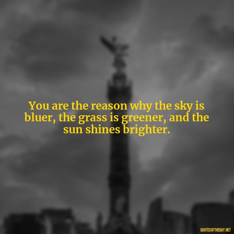 You are the reason why the sky is bluer, the grass is greener, and the sun shines brighter. - Love Appreciation Quotes For Him