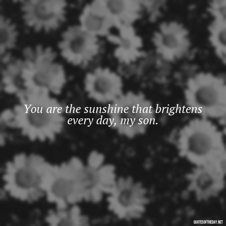 You are the sunshine that brightens every day, my son. - Quotes About Love For Your Son