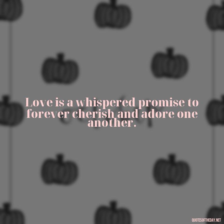 Love is a whispered promise to forever cherish and adore one another. - Nice Love Quotes