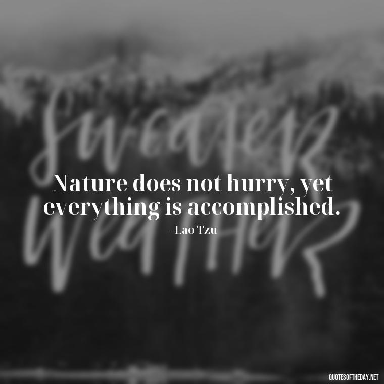 Nature does not hurry, yet everything is accomplished. - Quotes Nature Lover