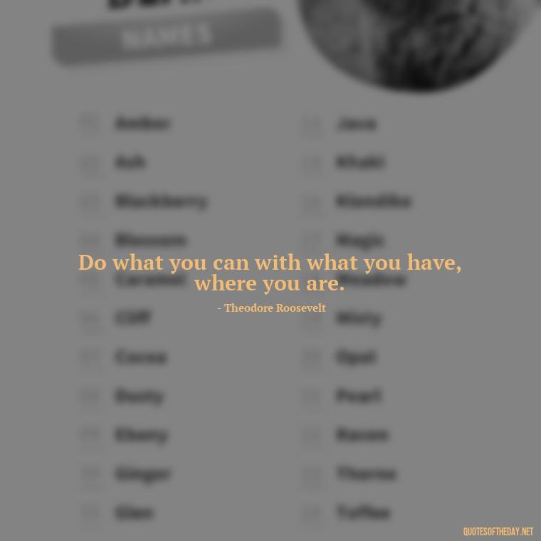 Do what you can with what you have, where you are. - Short Quotes About Work