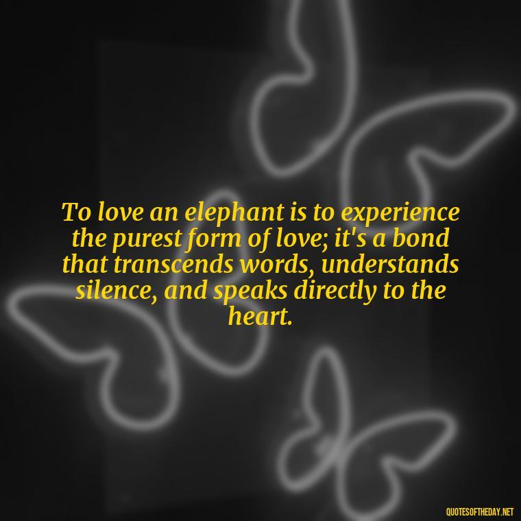 To love an elephant is to experience the purest form of love; it's a bond that transcends words, understands silence, and speaks directly to the heart. - Elephant Love Quotes