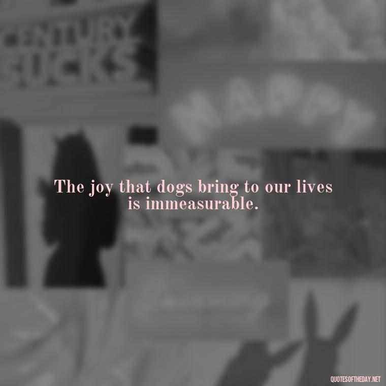 The joy that dogs bring to our lives is immeasurable. - Quote About Dogs Love