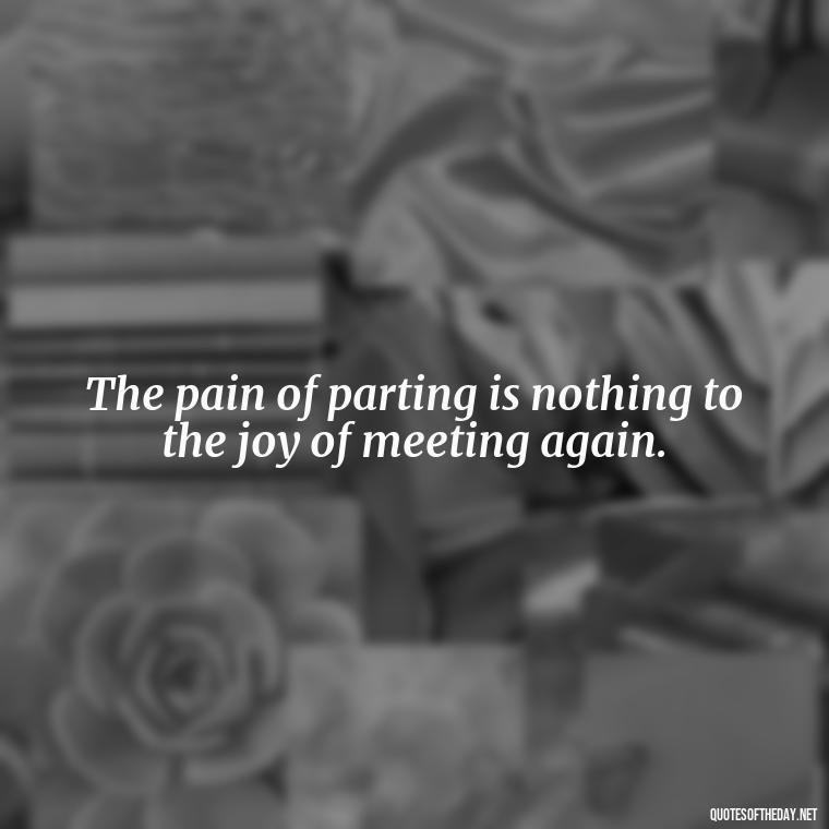 The pain of parting is nothing to the joy of meeting again. - Inspirational Quotes For Someone Who Lost A Loved One