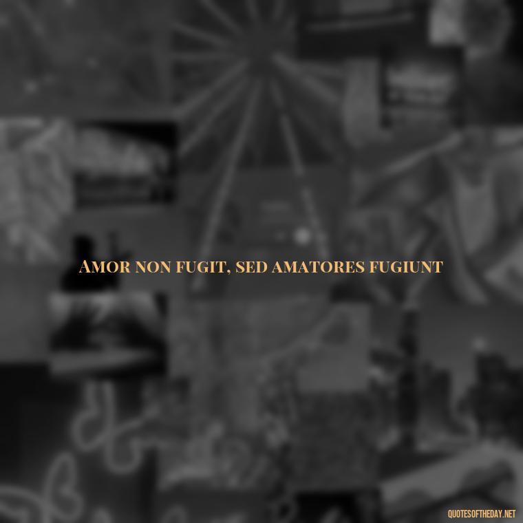 Amor non fugit, sed amatores fugiunt - Quotes In Latin About Love