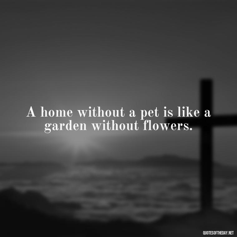 A home without a pet is like a garden without flowers. - Quotes About Pets Unconditional Love