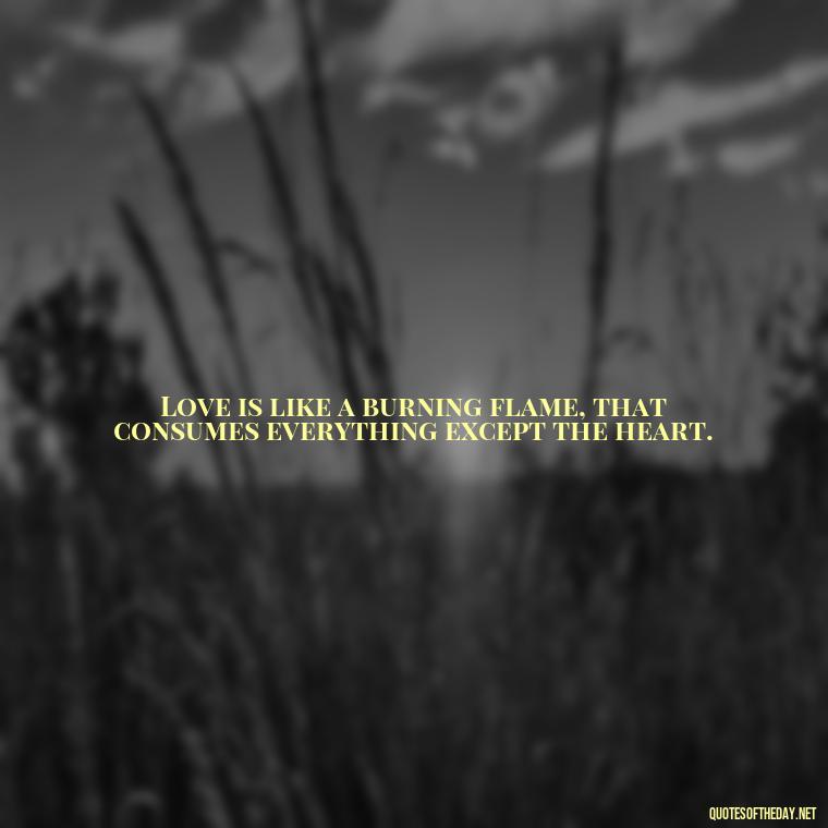 Love is like a burning flame, that consumes everything except the heart. - Love Quotes About Fire