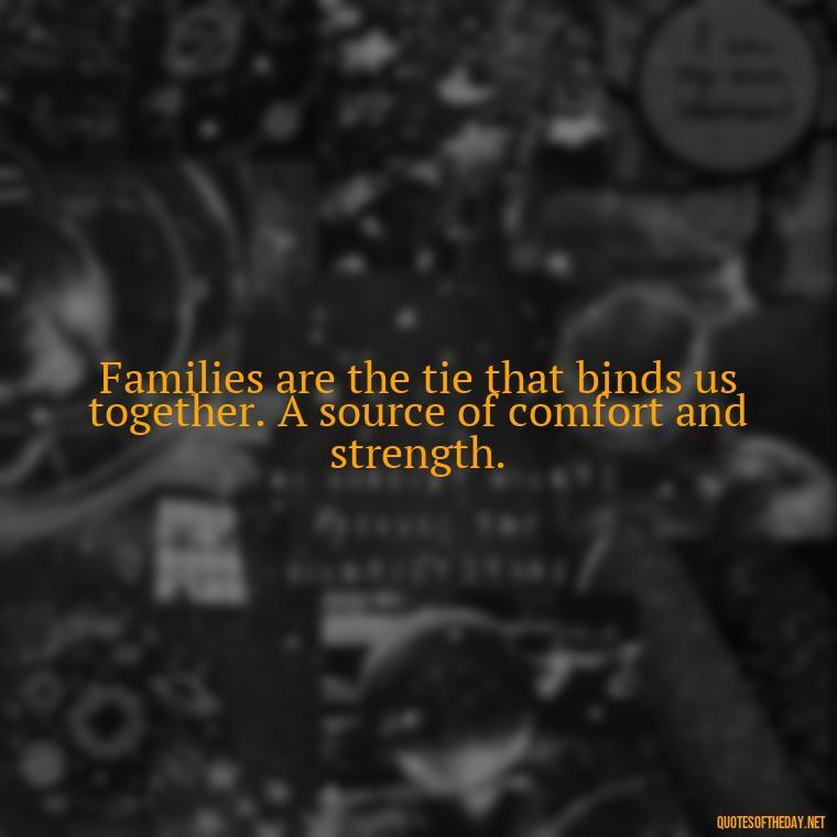 Families are the tie that binds us together. A source of comfort and strength. - I Love You Family Quotes