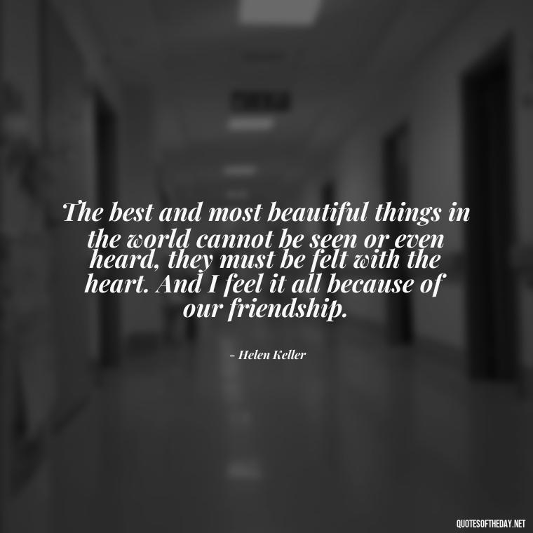 The best and most beautiful things in the world cannot be seen or even heard, they must be felt with the heart. And I feel it all because of our friendship. - Friend That You Love Quotes