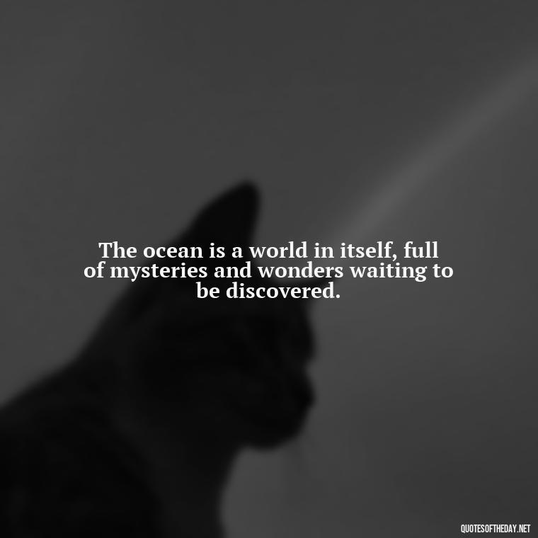 The ocean is a world in itself, full of mysteries and wonders waiting to be discovered. - Quotes About The Ocean And Love