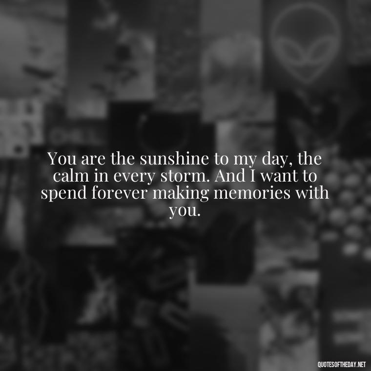 You are the sunshine to my day, the calm in every storm. And I want to spend forever making memories with you. - Do You Know How Much I Love You Quotes