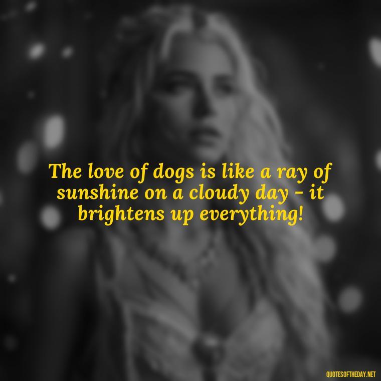 The love of dogs is like a ray of sunshine on a cloudy day - it brightens up everything! - Dog Love Quotes For Instagram