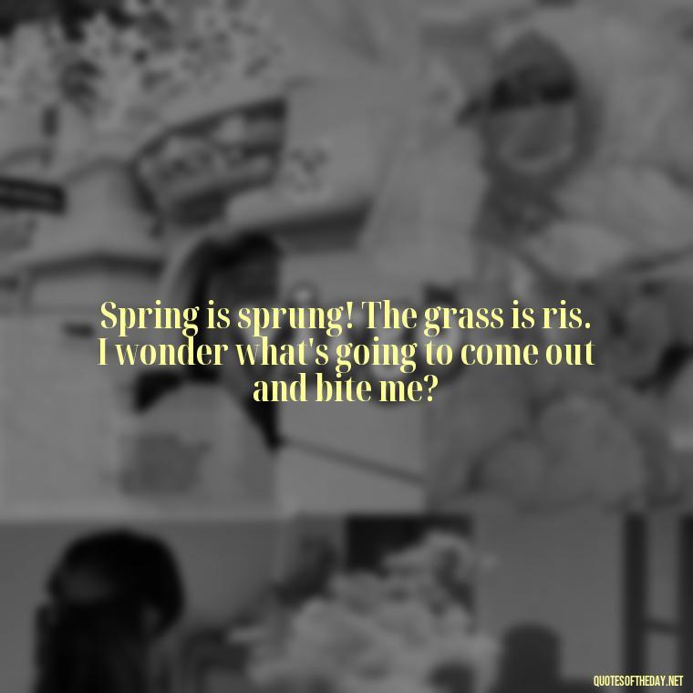 Spring is sprung! The grass is ris. I wonder what's going to come out and bite me? - Short Cute Short Spring Quotes