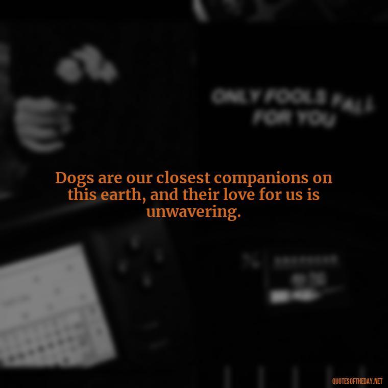 Dogs are our closest companions on this earth, and their love for us is unwavering. - Quotes About A Dogs Love