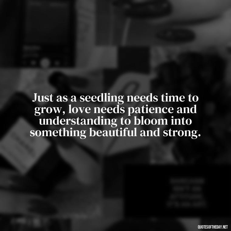 Just as a seedling needs time to grow, love needs patience and understanding to bloom into something beautiful and strong. - Love Blooms Quotes