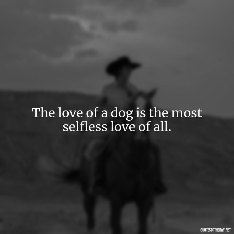 The love of a dog is the most selfless love of all. - Quotes About A Dogs Love