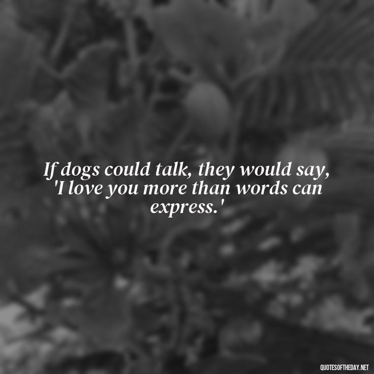 If dogs could talk, they would say, 'I love you more than words can express.' - Quotes About A Dogs Love