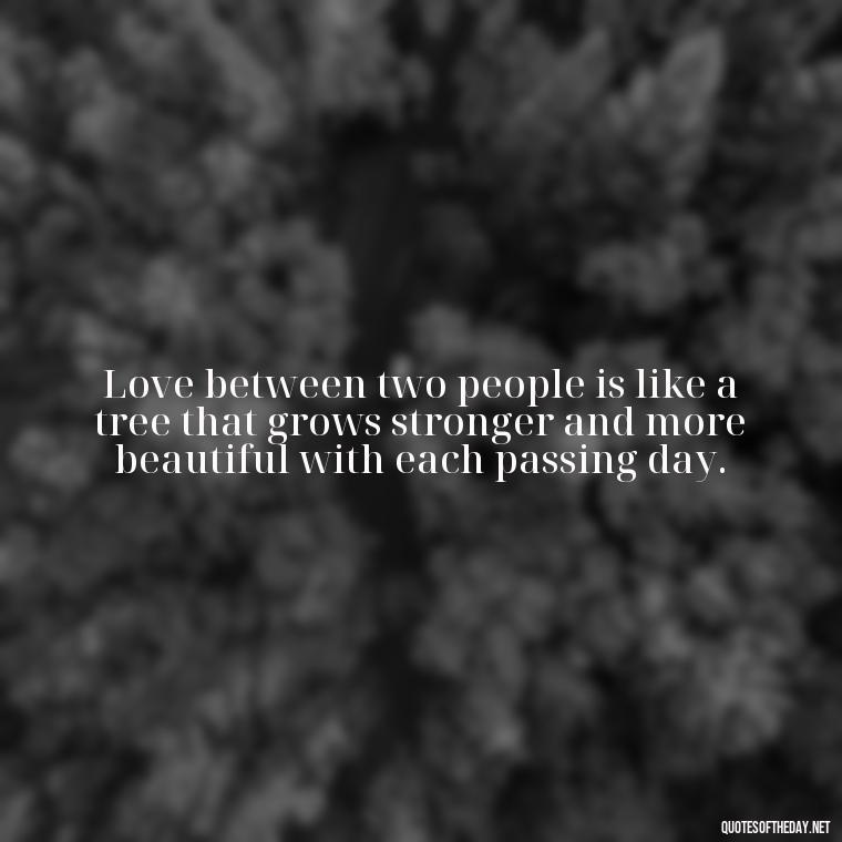 Love between two people is like a tree that grows stronger and more beautiful with each passing day. - Love Quotes For A Couple