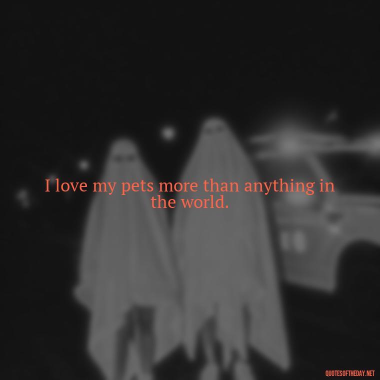 I love my pets more than anything in the world. - Quotes About Pets Unconditional Love