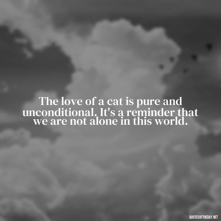 The love of a cat is pure and unconditional. It's a reminder that we are not alone in this world. - Love Quotes About Cats