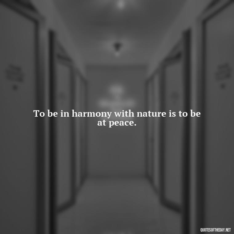 To be in harmony with nature is to be at peace. - Quotes Nature Lover