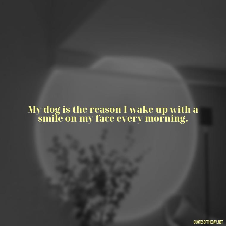 My dog is the reason I wake up with a smile on my face every morning. - Love For My Dog Quotes