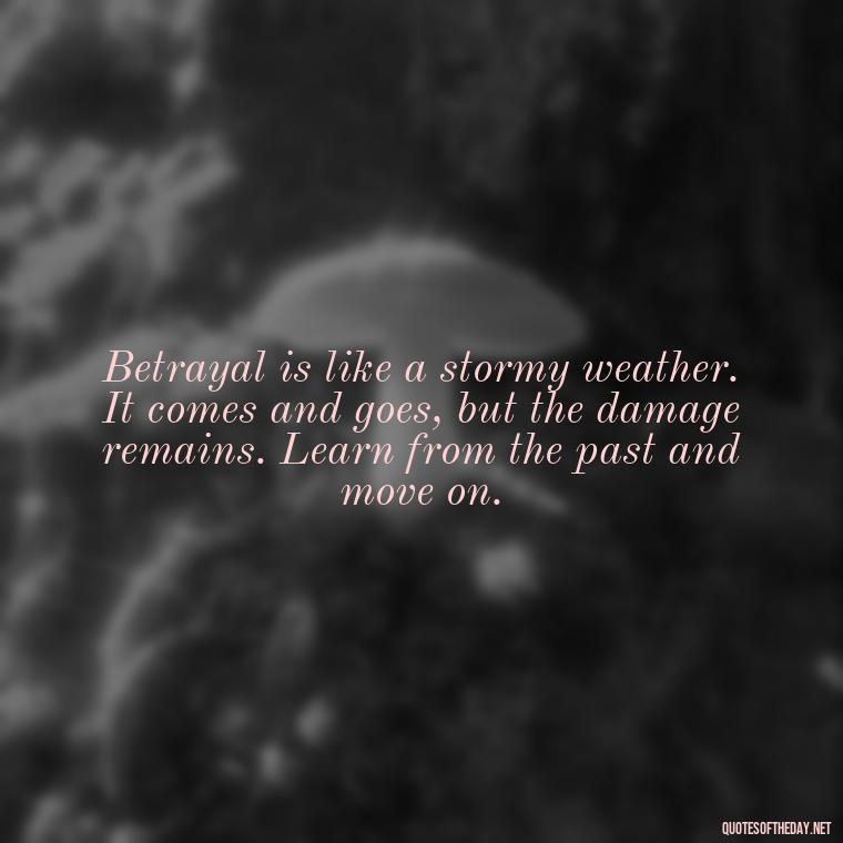 Betrayal is like a stormy weather. It comes and goes, but the damage remains. Learn from the past and move on. - Betrayal Fake Love Quotes