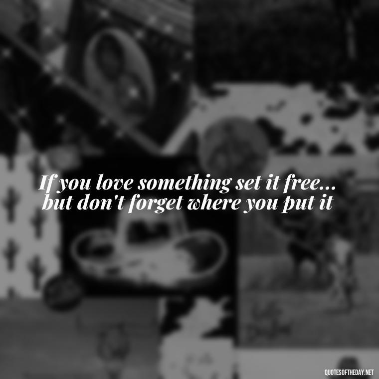 If you love something set it free... but don't forget where you put it - If U Love Something Set It Free Quote