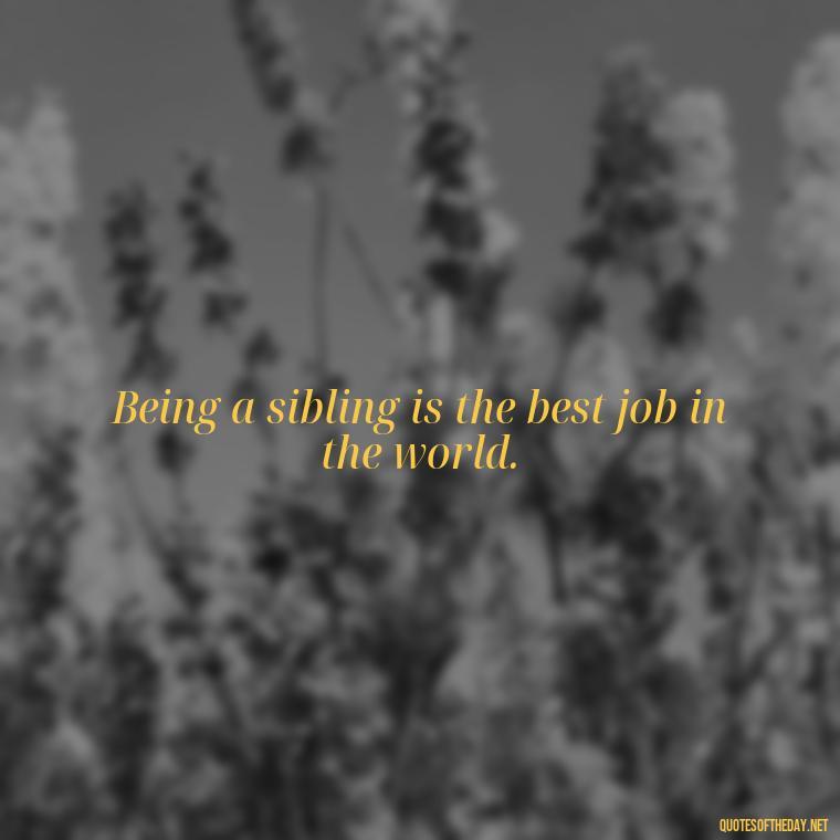 Being a sibling is the best job in the world. - Brother And Sister Short Quotes