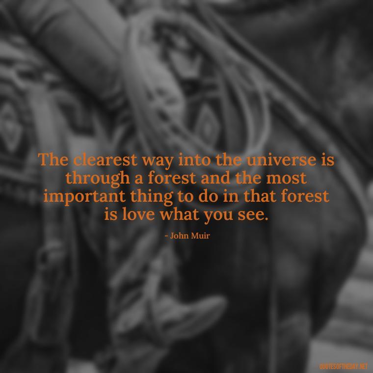 The clearest way into the universe is through a forest and the most important thing to do in that forest is love what you see. - Love And Nature Quotes