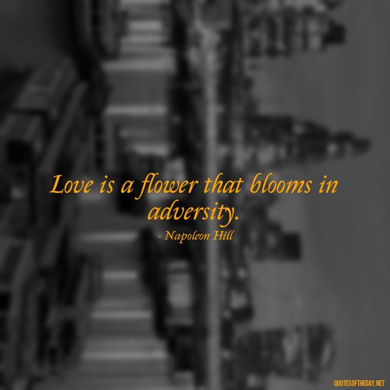 Love is a flower that blooms in adversity. - Quotes About Struggling Love